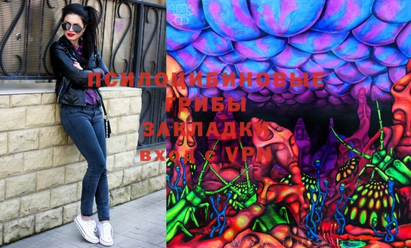 мяу мяу мука Абаза