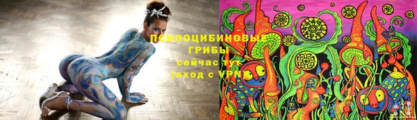 мяу мяу мука Абаза