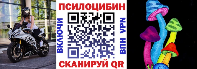 Псилоцибиновые грибы мицелий  блэк спрут зеркало  Власиха  где продают наркотики 